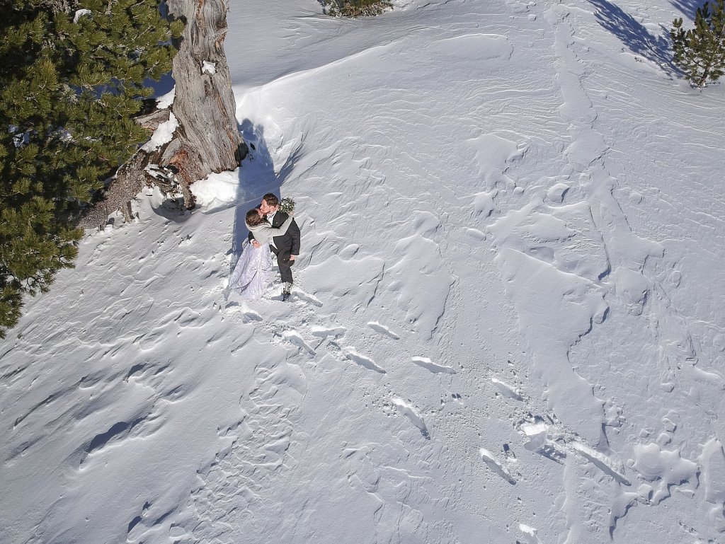 dji-4189bear2sw.jpg